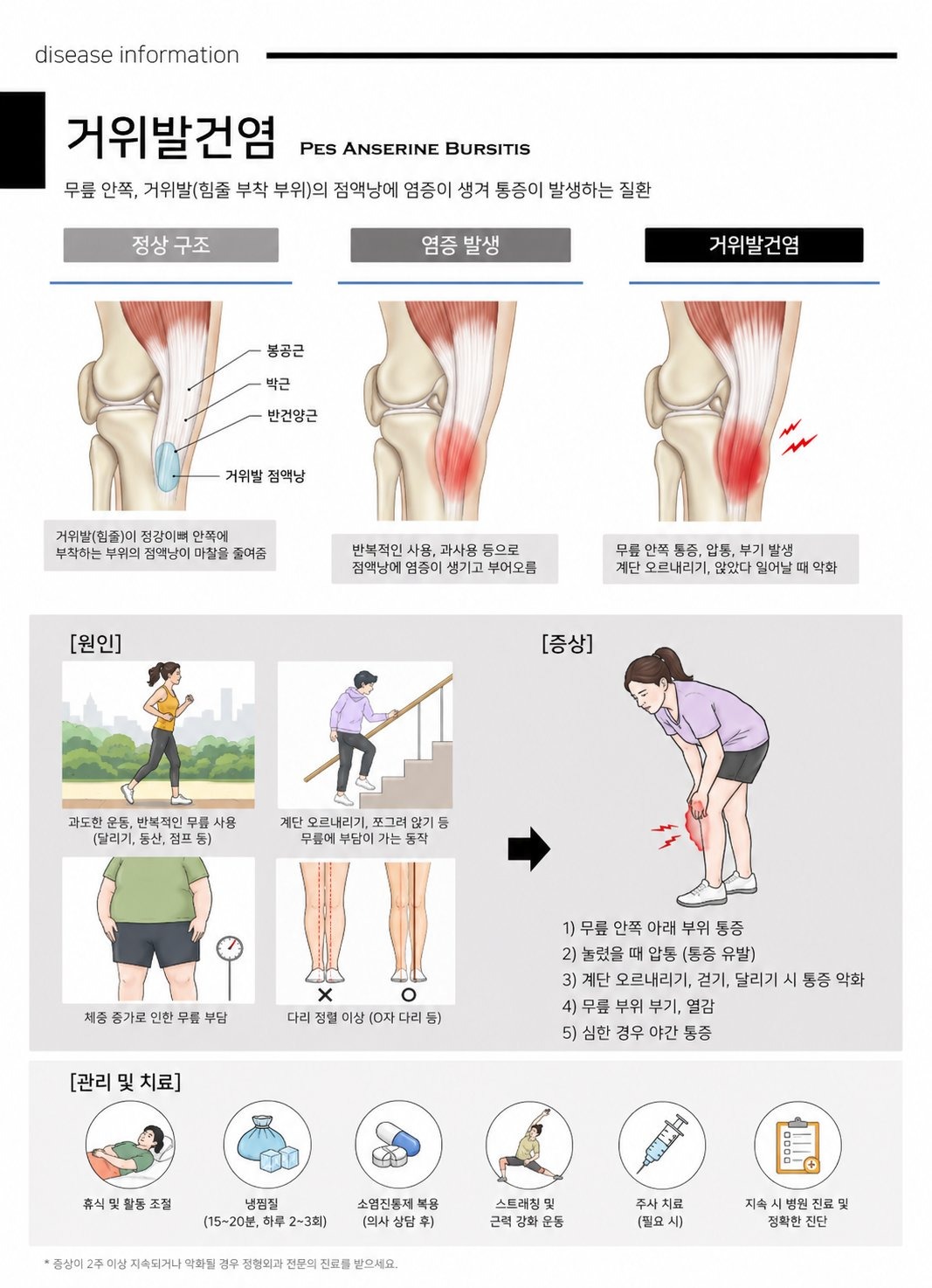 거위발건염 정보 - 정상 구조, 염증 발생, 원인, 증상, 관리 및 치료